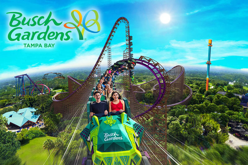 People having fun on the Iron Gwazi roller coaster at Busch Gardens Tampa