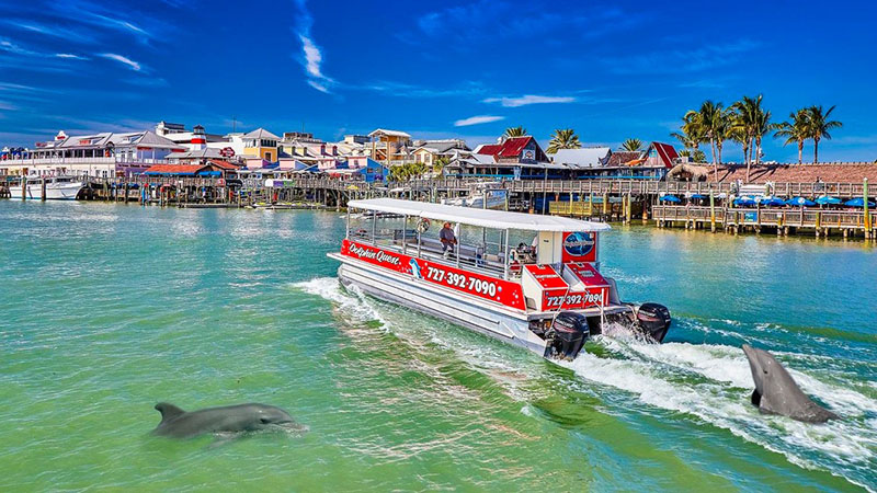 Tampa Bay beaches boat tour with dolphins in the water