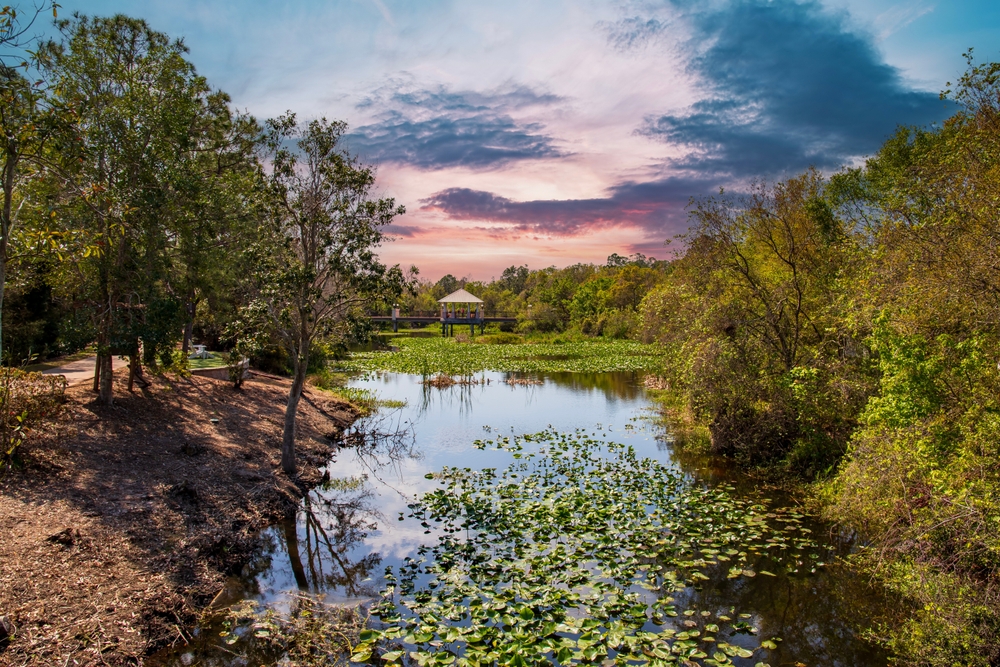 View of Florida botanical garden trees and water during spring in Florida