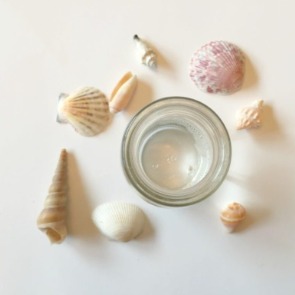 Seashells and a cup of white vinegar | Plumlee Gulf Beach Vacation Rentals