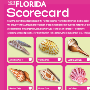 Visit Florida Seashell Checklist & Scorecard | Plumlee Gulf Beach Vacation Rentals