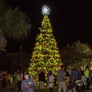 Indian Rocks Beach Christmas Tree lit up | Plumlee Gulf Beach Vacation Rentals