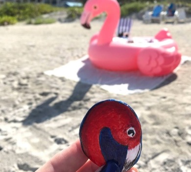 indian rocks beach painted rocks | Plumlee Vacation Rentals