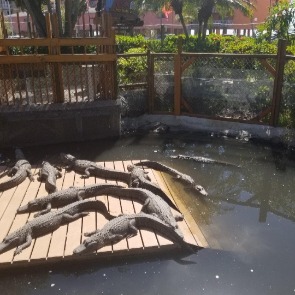 Smugglers Cove Adventure Golf in Indian Shores | Plumlee Vacations Rentals
