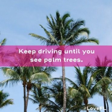 Keep driving until you see palm trees meme | Plumlee Gulf Beach Vacation Rentals