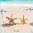 Starfish holding red, white and blue drink umbrellas for Labor Day | Plumlee Vacation Rentals