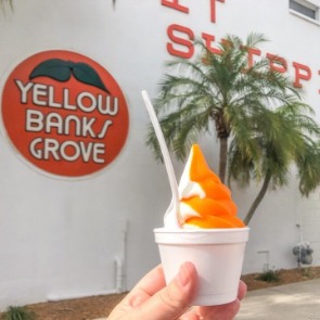 Orange Creme Ice Cream from Yellow Banks Grove | Plumlee Indian Rocks Beach Rentals