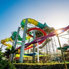 Busch Gardens Tampa | Plumlee Vacation Rentals
