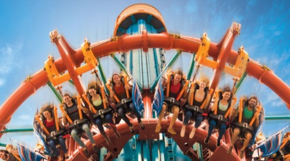 Falcon's Fury ride at Busch Gardens Tampa Bay | Plumlee Indian Rocks Beach Rentals