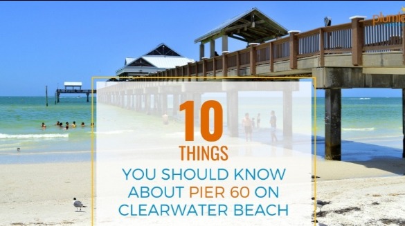 10 Things You Should Know About Pier 60 on Clearwater Beach | Plumlee Gulf Beach Vacations