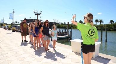 Clearwater Marine Aquarium Boat Tours and Guided Tours | Plumlee Vacation Rentals Indian Rocks Beach Florida