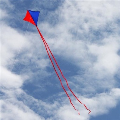 Diamond kite, single line | Plumlee Vacation Indian Rocks Beach Rentals