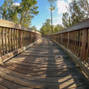 Boardwalk through Florida nature preserve | Plumlee Indian Rocks Beach Vacation Rentals