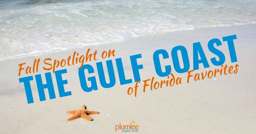 Fall Spotlight on the Gulf Coast of Florida Favorites | Plumlee Gulf Beach Realty