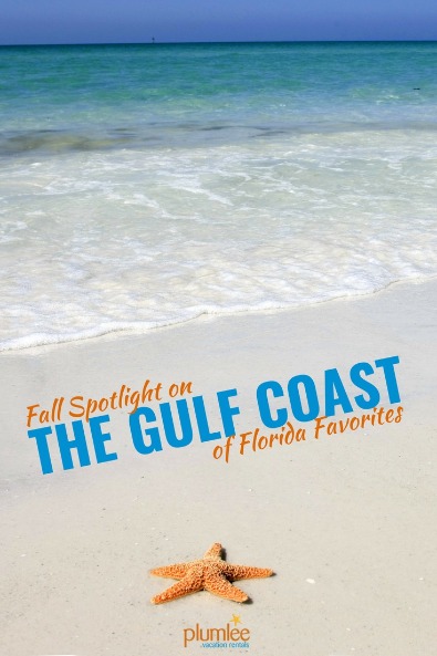 Fall Spotlight on the Gulf Coast of Florida Favorites | Plumlee Gulf Beach Realty