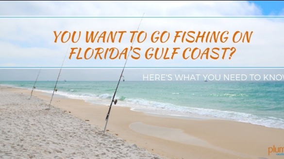You Want To Go Fishing On Florida's Gulf Coast? | Plumlee Gulf Beach Vacations