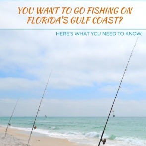 You Want To Go Fishing on Florida's Gulf Coast? Here's What You Need To Know!