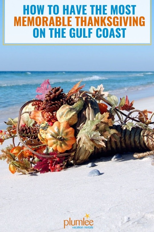 How to Have the Most Memorable Thanksgiving on the Gulf Coast | Plumlee Realty