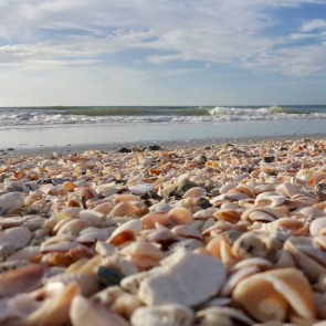 indian rocks beach, florida | Plumlee Vacation Rentals