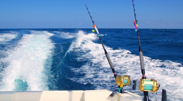 Florida Gulf Coast Fishing Charters Near Indian Rocks Beach | Plumlee Indian Rocks Beach Vacation Rentals