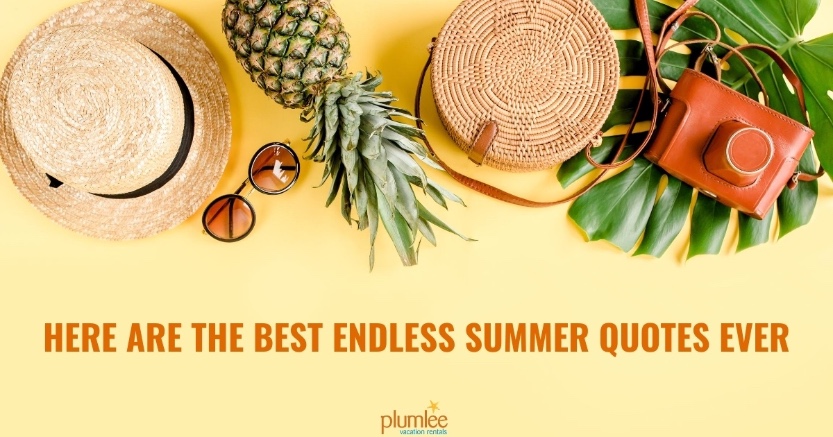 Here Are The Best Endless Summer Quotes Ever