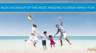 Blog roundup of the most amazing Florida family fun | Plumlee Vacations Indian Rocks Beach Rentals