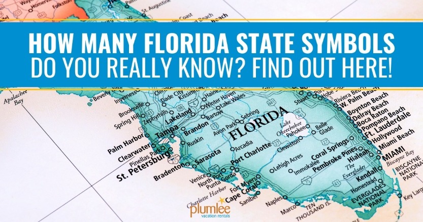 How Many Florida State Symbols Do You Really Know? Find Out Here!