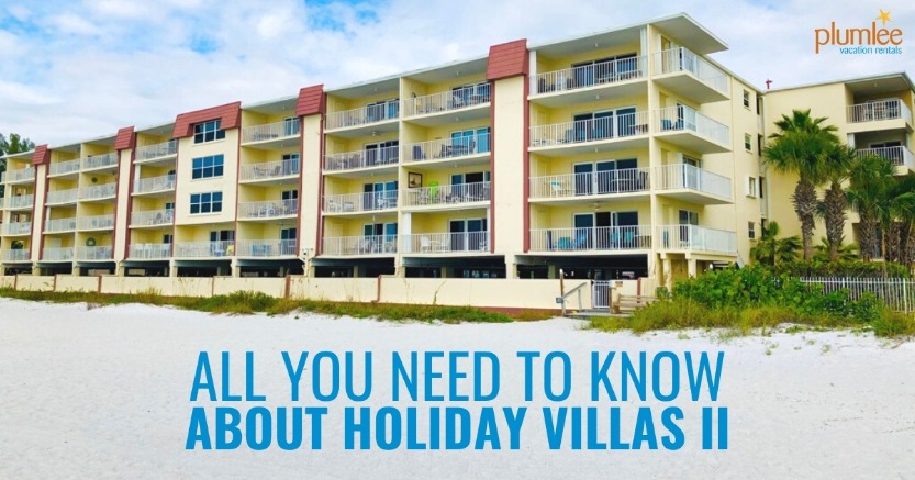 All You Need to Know About Holiday Villas II
