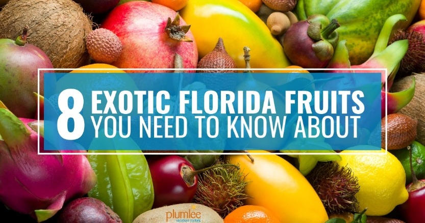 8 Exotic Florida Fruits You Need to Know About