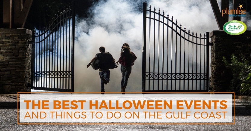 The Best Halloween Events and Things To Do on the Gulf Coast