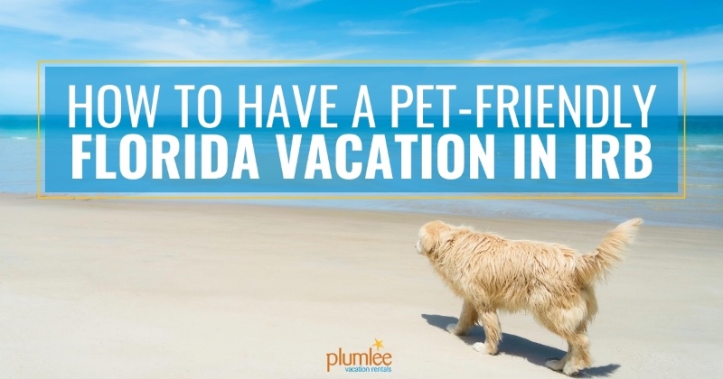 How to Have a Pet-Friendly Florida Vacation in IRB