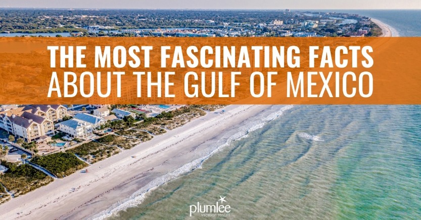 The Most Fascinating Facts About the Gulf of Mexico