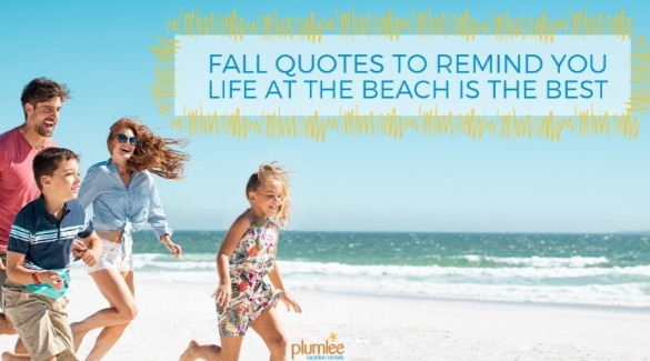 Best Fall Quotes for Florida Beach Lovers | Plumlee Indian Rocks Beach Vacation Rentals