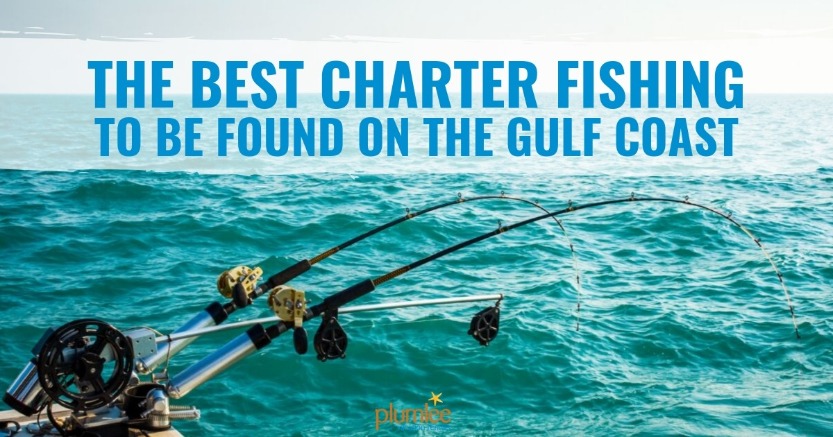 The Best Charter Fishing To Be Found on the Gulf Coast | Plumlee Vacation Rentals