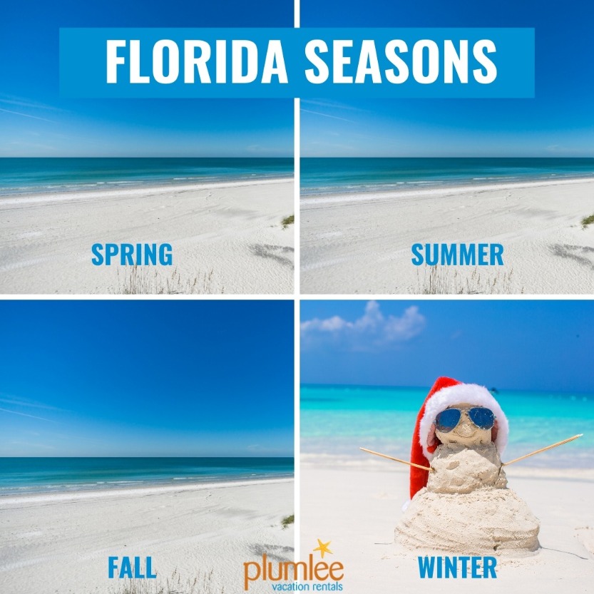 Florida Winter Beach Memes That Will Get You in the Mood for Vacation