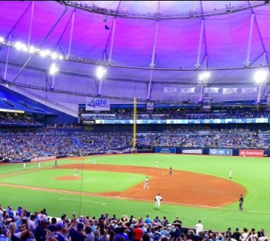Tampa bay rays baseball field | Plumlee Gulf Beach Realty