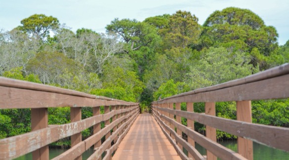 Boardwalk in McGough Nature Park | Plumlee Indian Rocks Beach Rentals