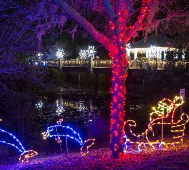 Christmas lights at Florid Botanical Gardens | Plumlee Realty