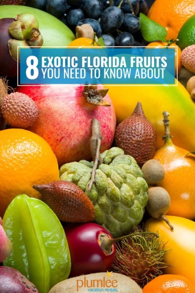 8 Exotic Florida Fruits You Need to Know About