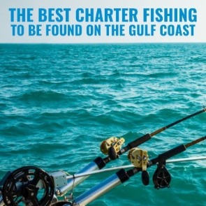 The Best Charter Fishing To Be Found on the Gulf Coast