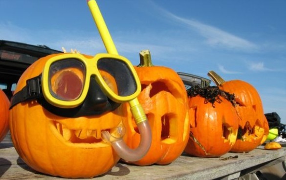 Scuba Pumpkin | Plumlee Indian Rocks Beach Rentals