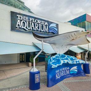 The Florida Aquarium in Tampa | Plumlee Gulf Beach Realty