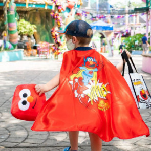 Boy dressed up for Trick or Treat at Kids' Weekend at Busch Garden Tampa | Plumlee Vacation Rentals in Indian Rocks Beach, Florida