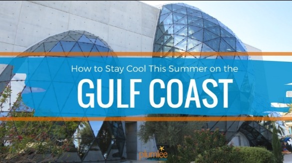 Cool Florida Attractions | Plumlee Gulf Beach Vacations