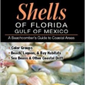 Shells of Florida Gulf of Mexico Beachcomber's Guide on Amazon | Plumlee Gulf Beach Vacation Rentals