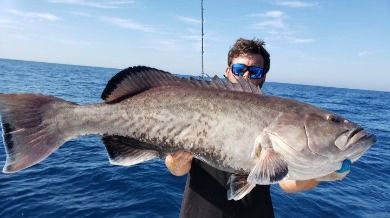 Man holding his big fish on the Gulf of Mexico | Plumlee Indian Rocks Beach Vacation Rentals