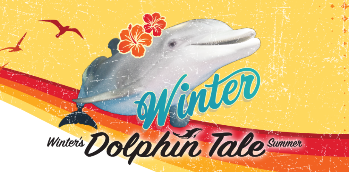 winter's dolphin tale summer promo | Plumlee Vacation Rentals
